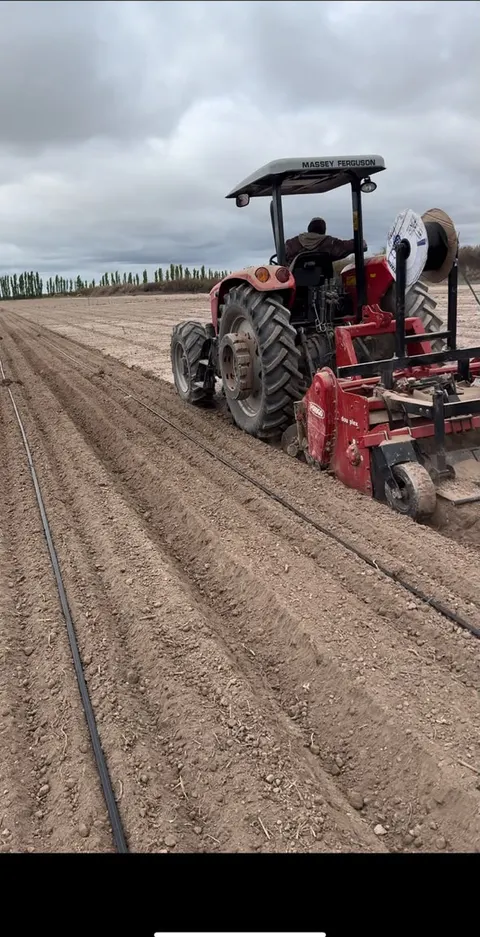 Tractor preparando surcos