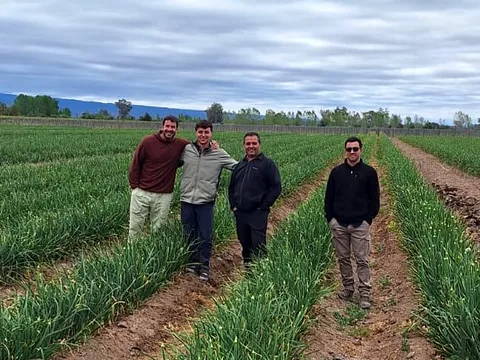El equipo de Semillas Oñate en un lote de cebolla